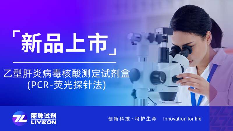 新品速報 | 乙型肝炎病毒核酸測定試劑盒(PCR-熒光探針法)全新上市！